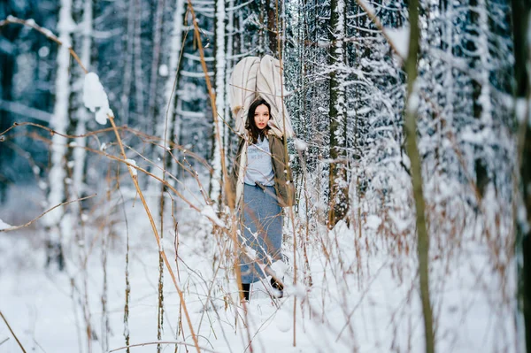 Ung Attraktiv Flicka Poserar Med Varm Mantel Bland Träd Snön — Stockfoto