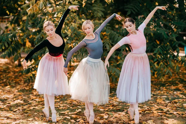 Τρία Κορίτσια Μπαλαρίνας Ποζάρουν Και Χορεύουν Στο Όμορφο Πάρκο — Φωτογραφία Αρχείου