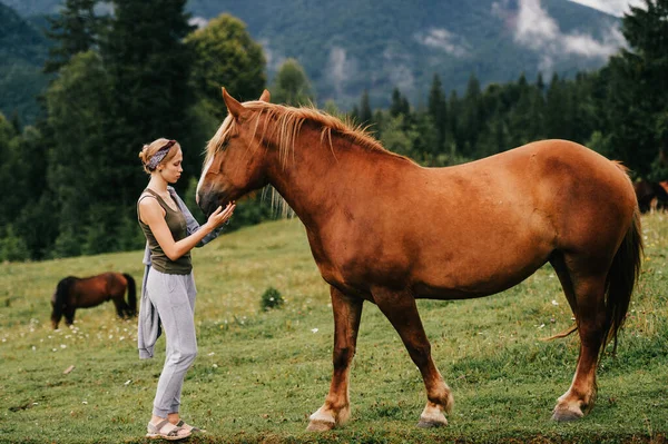 Молодая Красивая Девушка Обнимает Лошадь Природе — стоковое фото