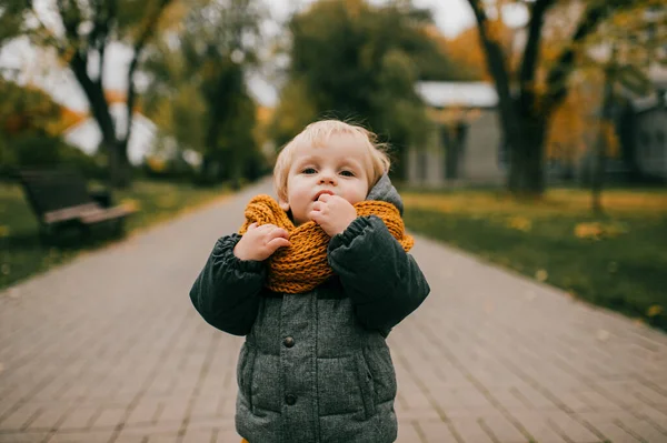 Досить Маленький Хлопчик Теплому Одязі Йде Прогулянку Великого Осіннього Парку — стокове фото