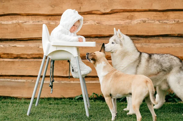 Honden Kinderen Vriendelijke Relatie Concept Kleine Baby Jongen Teddybeer Kostuum — Stockfoto