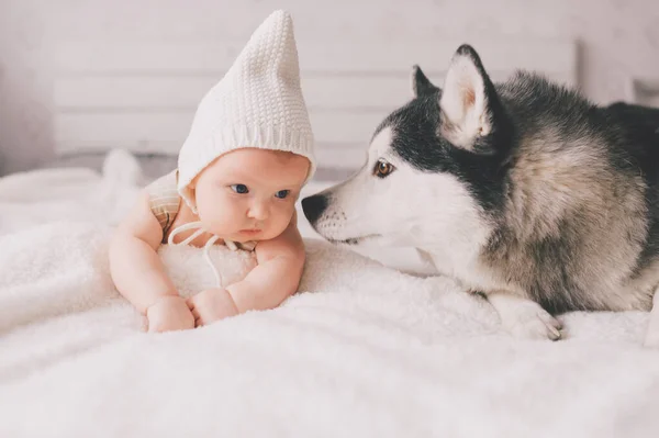 Yeni doğmuş bebek yaşam tarzı yumuşak odak portresi evde yatakta köpek yavrusuyla sırt sırta yatar. Küçük çocuk ve sevimli köpek dostluğu. Sevimli bebek şapkalı komik çocuk evcil hayvanla dinleniyor.
