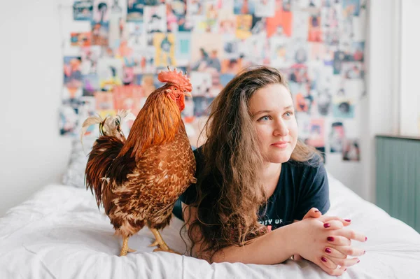Long Haired Brunette Lying Bed Chicken 90S Style Wall Background — Stock Photo, Image
