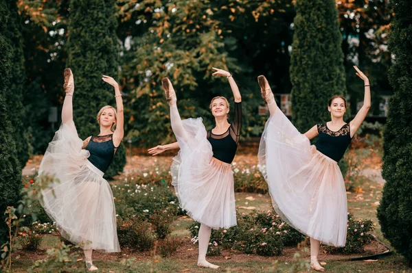 Три Балерины Танцуют Позируют Красивом Парке Кустами Цветами — стоковое фото