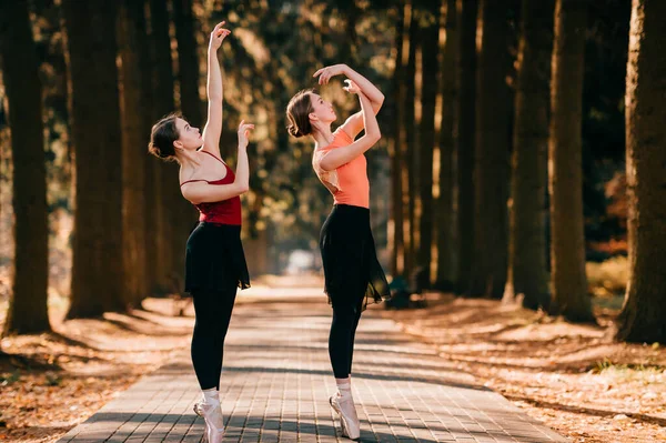 Two Beautiful Female Ballet Dancers Balancing Dancing Tree Valley — Stock Photo, Image