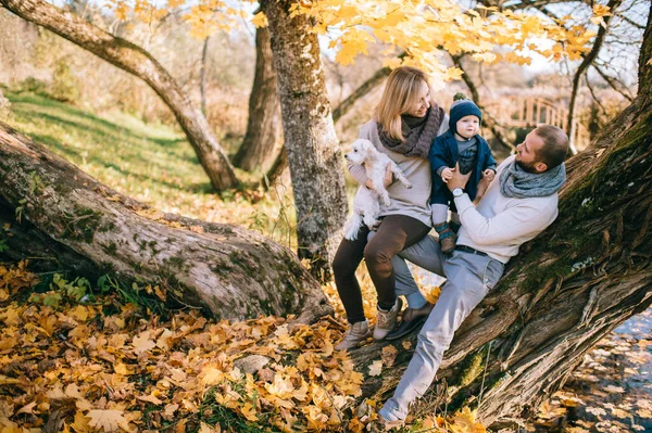 Glad Familj Par Med Sin Son Och Liten Valp Höstparken — Stockfoto