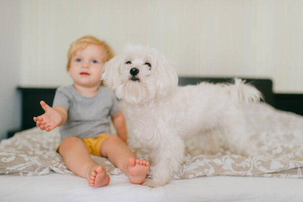 Little beautiful boy in pajamas lies at home on a bed with a white dog