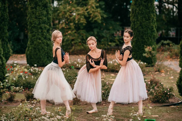 3人の女性バレリーナは 茂みや花と美しい公園で踊ってポーズをとっています — ストック写真