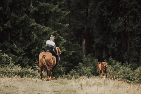 Cowboy Paardrijden Het Bos — Stockfoto