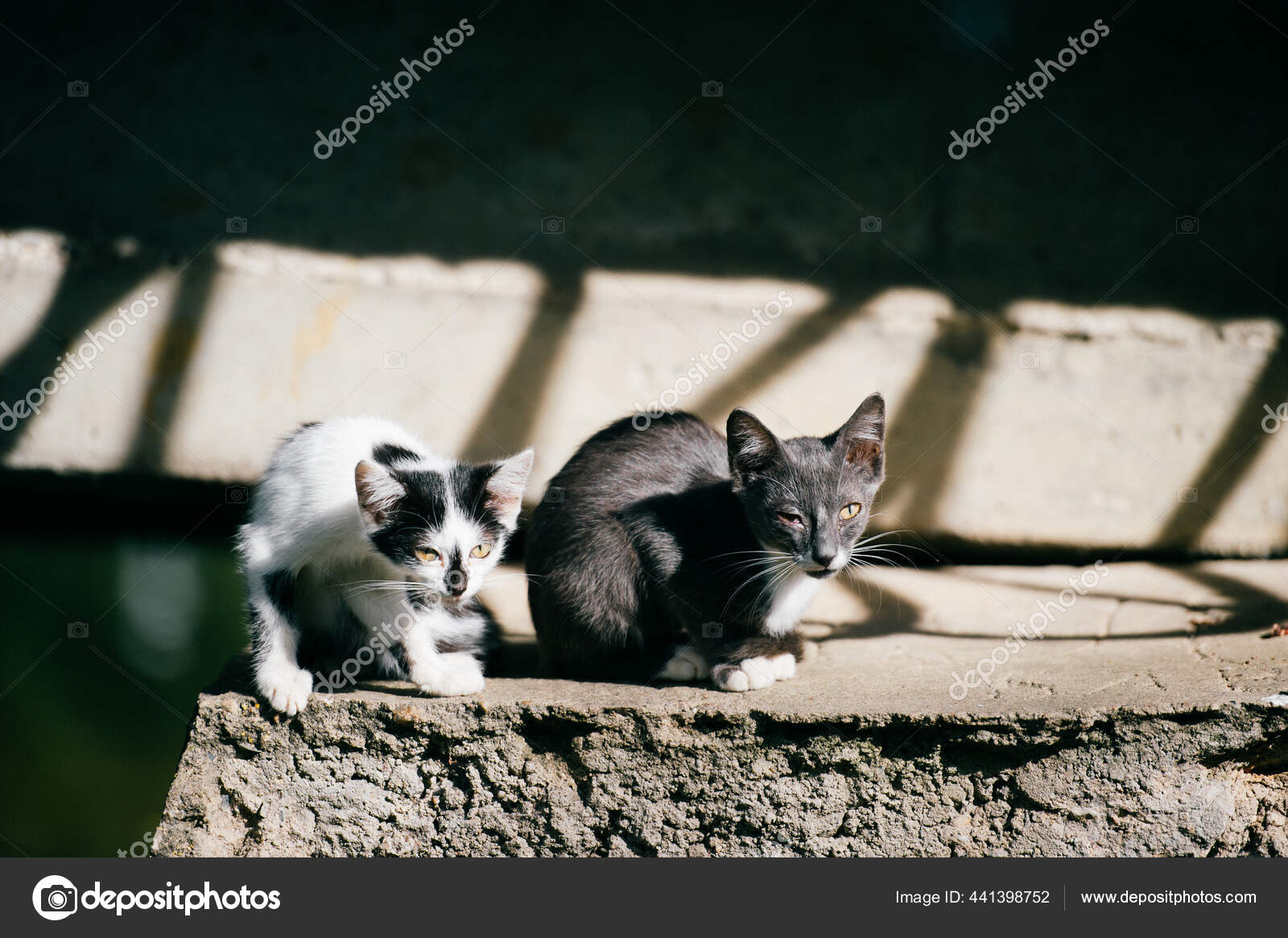 ホームレスを救うシェルタースーツ 「クロエ」ともコラボしたデザイナーが信じるファッションの力 - WWDJAPAN, image size:1600x1165