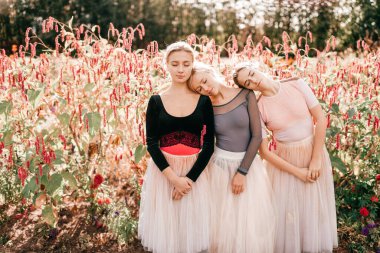 Güneşli yaz parkında poz veren üç güzel balerin kız..