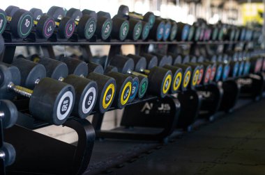 Spor salonunda dambıllar. Spor salonu merkezindeki renkli halterler..
