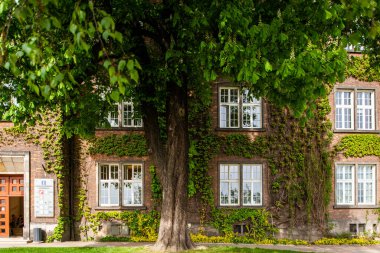 Krakow, Polonya - 26 Nisan 2019: Polonya 'nın Krakow kentindeki Wawel Kraliyet Kalesi' nin duvarındaki sürüngen.