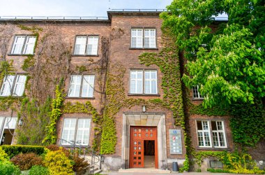 Krakow, Polonya - 26 Nisan 2019: Polonya 'nın Krakow kentindeki Wawel Kraliyet Kalesi' nin duvarındaki sürüngen.