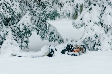 Kardaki adam. Evsiz erkek ağaçların altında uyuyor. Buz gibi kış gününde yerde donan tuhaf, şok olmuş gezgin adam. Eşsiz bir yaşam tarzı. Zorlukların üstesinden gelmek. Hedef tamamlandı..