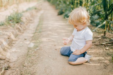 Kısa saçlı küçük bir çocuğun resmi mısır tarlasının yanında oturuyor ve rahatlıyor..