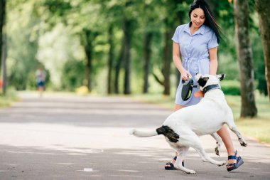 Mavi yazlık elbiseli neşeli esmer kız parkta büyük av köpeğiyle oynuyor. Aktif komik köpeğini dışarıda eğiten güzel bir genç kadın. Sevimli gençler hayvanları sever. Çiftleşen hayvan