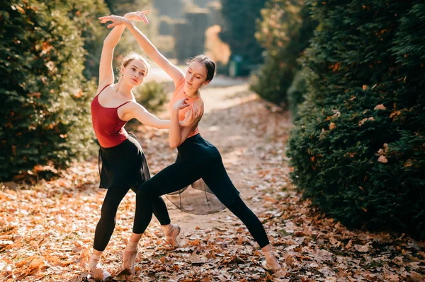 Две Стройные Танцовщицы Балета Танцуют Позируют Красивом Осеннем Парке Солнечный — стоковое фото