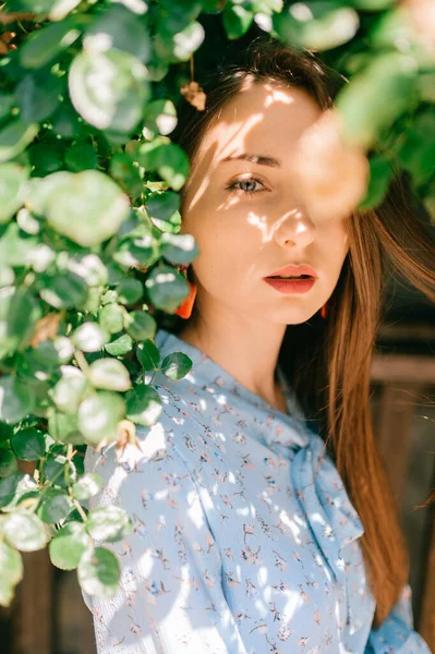 Retrato Moda Joven Morena Modelo Femenina Los Arbustos — Foto de Stock