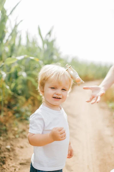 머리에 금발인 아이와 반바지를 아이가 옥수수 밭에서 — 스톡 사진