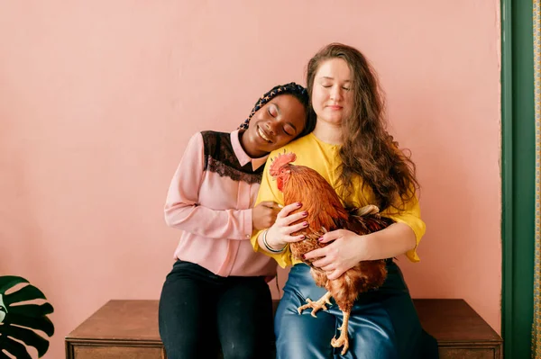 Mladé Stylové Ženské Interracial Pár Chikcne Jejich Rukou Objímání Domácím — Stock fotografie