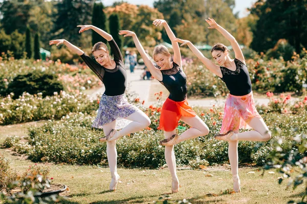 Trzy Pełne Wdzięku Kobiety Baletnice Pozują Tańczą Letnim Pięknym Parku — Zdjęcie stockowe