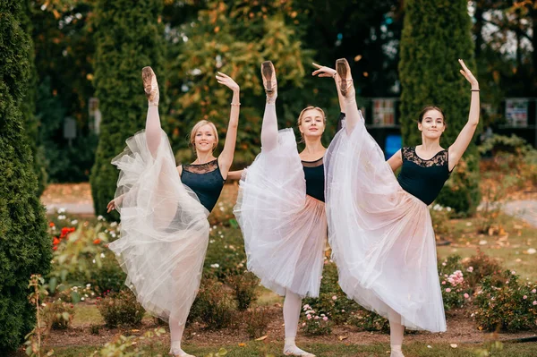 Три Балерины Танцуют Позируют Красивом Парке Кустами Цветами — стоковое фото
