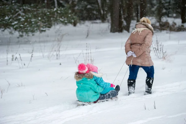 Moeder Trekken Slee Met Haar Dochter Zitten Het Winter Besneeuwde — Stockfoto