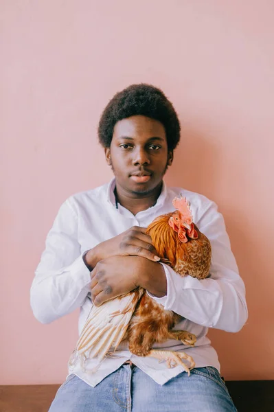 Stüdyoda Pembe Arka Planda Tavuk Yiyen Afro Amerikalı Bir Adam — Stok fotoğraf
