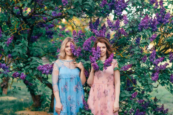 Sarışın Kahverengi Saçlı Leylak Bahçesinde Gülümseyen Güzel Kız Kardeşler — Stok fotoğraf