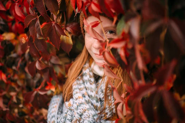 Menina Positiva Parede Hera Olhando Embora Folhas Vermelhas Jogar Esconder — Fotografia de Stock