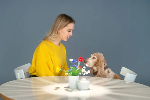 Mujer Alegre Sonriente Blusa Amarilla Sentada Silla Restaurante Mesa Comunicándose —  Fotos de Stock