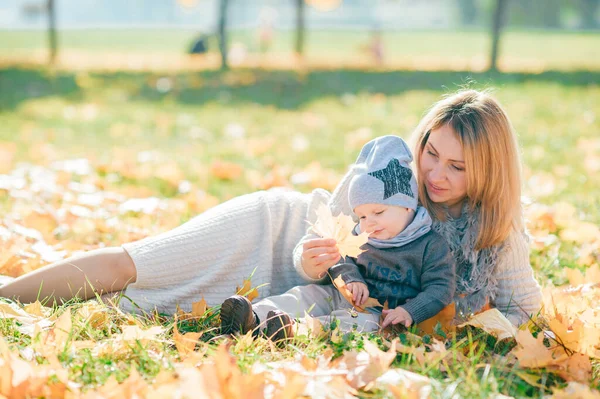 Madre Lindo Bebé Parque Otoño Mujer Joven Con Hijo Perro — Foto de Stock