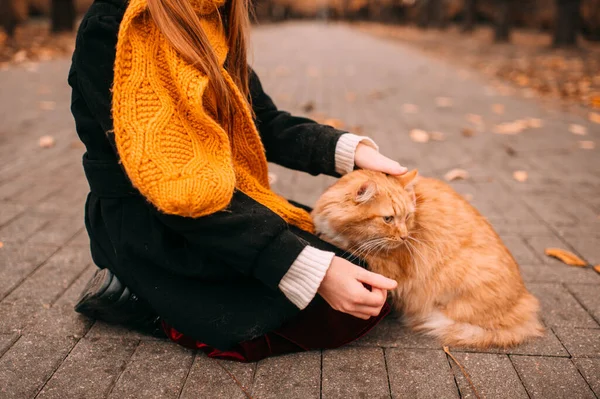 Pensive Freckles Girl Petting Her Pet Red Kitten Ground Autumn — Stock Photo, Image