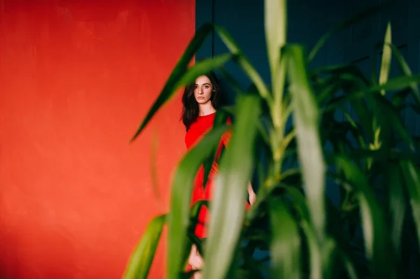 Mooi Modemeisje Met Donker Lang Haar Spaans Uiterlijk Sensueel Gezicht — Stockfoto