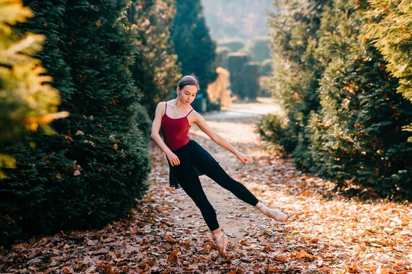 Портрет Молодой Балерины Черных Штанах Леггинсов Туту Падающей Красивом Парке — стоковое фото