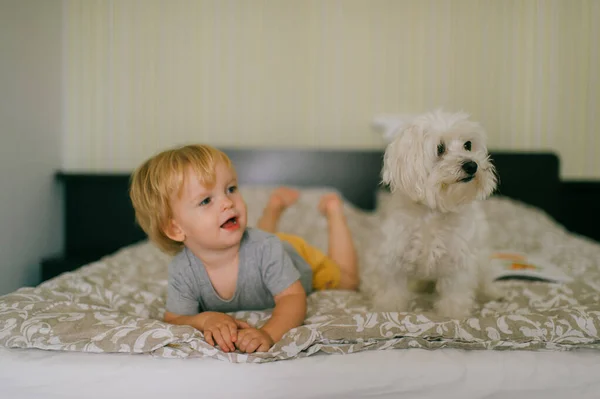 Menino Lindo Pijama Jaz Casa Uma Cama Com Cão Branco — Fotografia de Stock