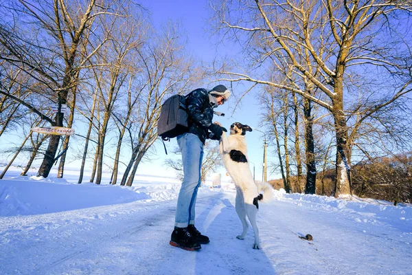 Dospělý Šťastný Muž Pózuje Přátelským Psem Sněhové Pěšině — Stock fotografie