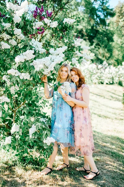 屋外をポーズ異なる美しい夏のドレスで愛らしい幸せな陽気な双子の姉妹 公園の肖像画に花を咲かせるライラックカラフルな茂みの中で同様のかわいい女性モデル — ストック写真