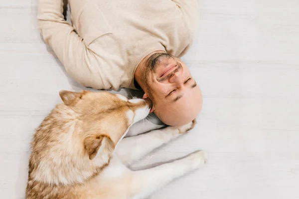 Dospělý Plešatý Muž Husky Štěně Spí Podlaze Majitel Domácím Mazlíčkem — Stock fotografie