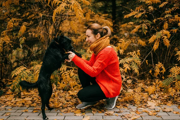 A beautiful young Caucasian woman in a red jacket and black pants crouched on her knees and plays with a black dog in the autumn forest.