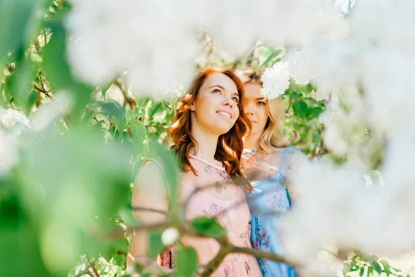 屋外をポーズ異なる美しい夏のドレスで愛らしい幸せな陽気な双子の姉妹 公園の肖像画に花を咲かせるライラックカラフルな茂みの中で同様のかわいい女性モデル — ストック写真