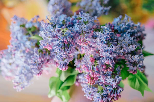 Närbild Makro Detaljerad Bild Blommande Vackra Lila Grenar Bukett Abstrakt — Stockfoto