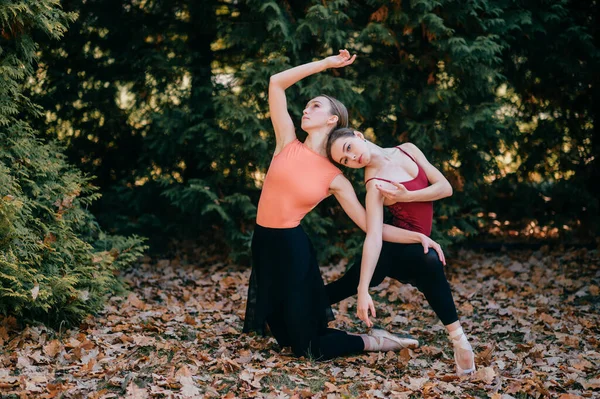 Två Unga Ballerinor Poserar Med Elegans Och Elegans Svarta Leggins — Stockfoto