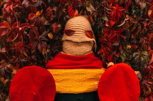 奇妙な肖像画認識できない人はかかしのような3つのスカーフで覆われ 背景に秋のツタの壁の上に彼女の手の中に2つの赤いベレー帽を保持 — ストック写真
