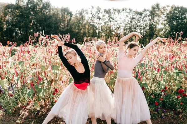 Retrato Dramático Três Bailarinas Graciosas Posando Dançando Sobre Flores Rosa — Fotografia de Stock