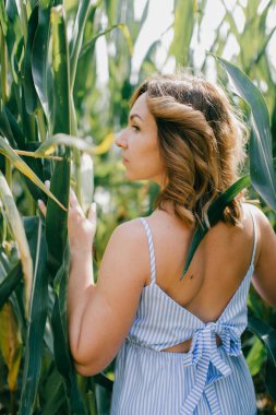 Kısa siyah dalgalı saçlı, açık mavi yazlık elbisesi olan yakışıklı beyaz kadın hafta sonları mısır tarlasında sakinliğini koruyor..
