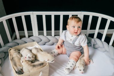 Küçük çocuk yeni doğmuş köpek yavrularıyla beşiğinde