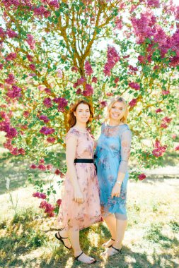 Farklı güzel yaz elbiseleriyle dışarıda poz veren sevimli, mutlu, muhteşem ikiz kardeşler. Parktaki portrede çiçek açan leylak renkli çalılıklardaki sevimli kadın modeller gibi. Aile