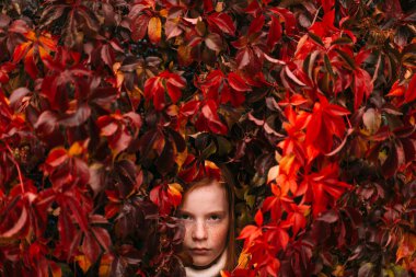 Çilli suratı olan sert kızıl saçlı bir kızın portresi sarmaşık duvarının içinde dikiliyor ve yetişkin yüz ifadesiyle bakıyor..  
